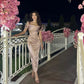 Pink Fashion Bodycon Evening Dress Elegant Gorgeous Party Dress Evening Dress nv2212