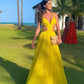 Spaghetti Strap Hollow Sexy Long Dress Elegant Evening Dress Ball Gown Party Dress nv2238