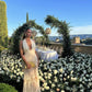 Robe de soirée longue en tulle et dentelle blanche à col en V et élégante robe d'invité de mariage nv3335